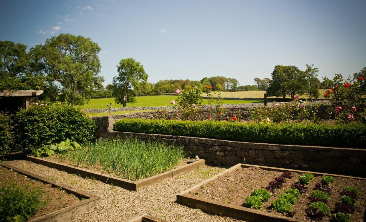 Cahergal Farmhouse B&B Newmarket-on-Fergus Exteriör bild