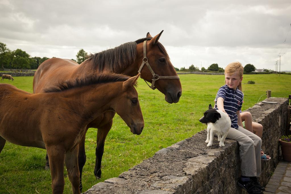 Cahergal Farmhouse B&B Newmarket-on-Fergus Exteriör bild