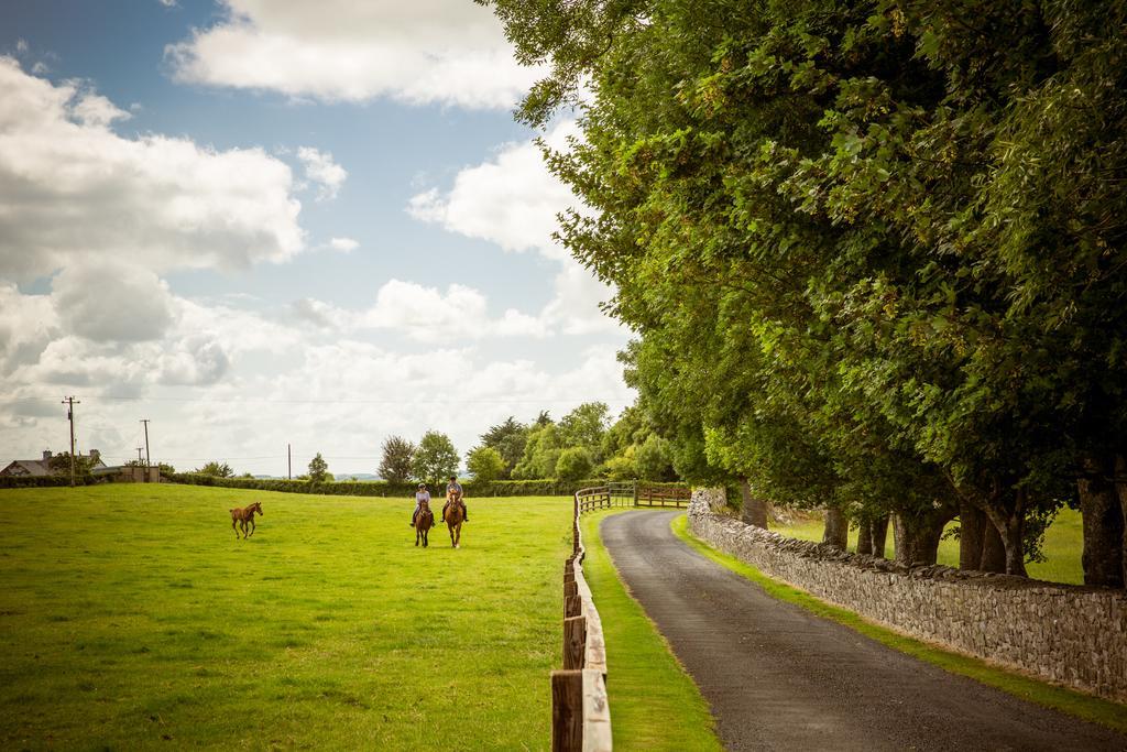 Cahergal Farmhouse B&B Newmarket-on-Fergus Exteriör bild