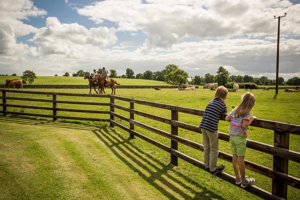 Cahergal Farmhouse B&B Newmarket-on-Fergus Exteriör bild